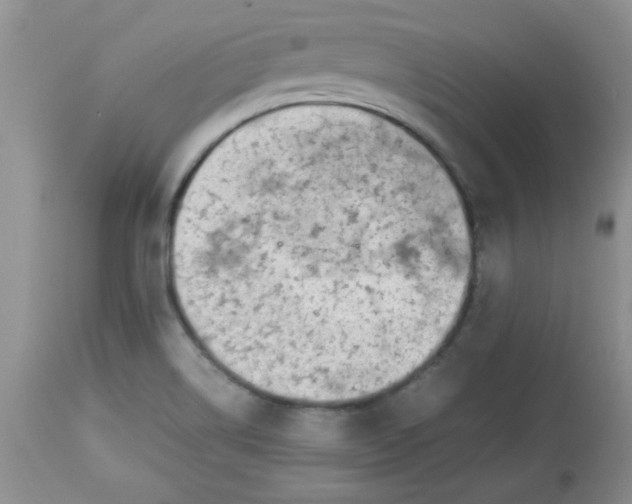 X0000112791514200909111159