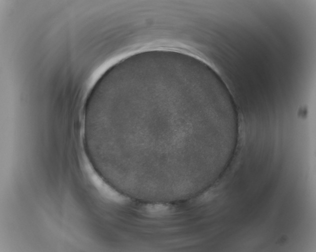 X0000112791515200909111159