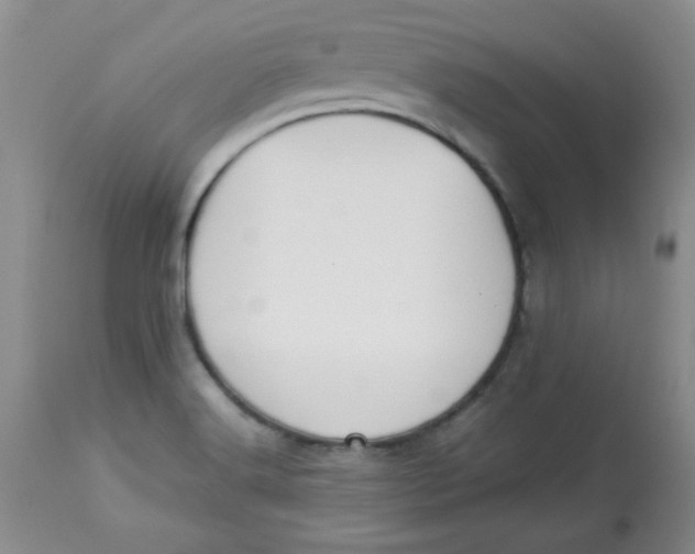 X0000112791516200909111159