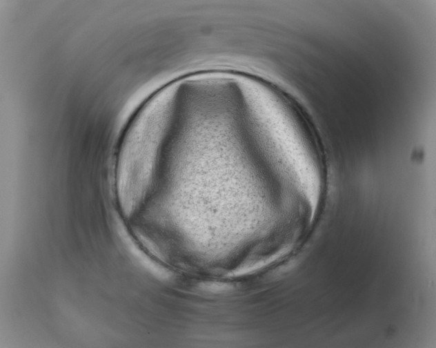 X0000112791517200909111159