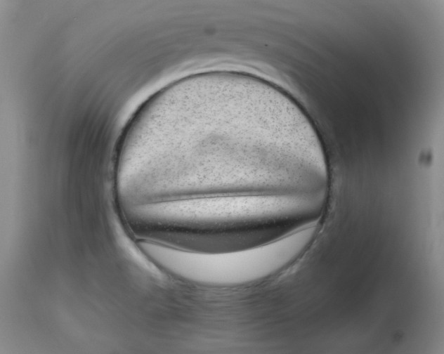 X0000112791518200909111159