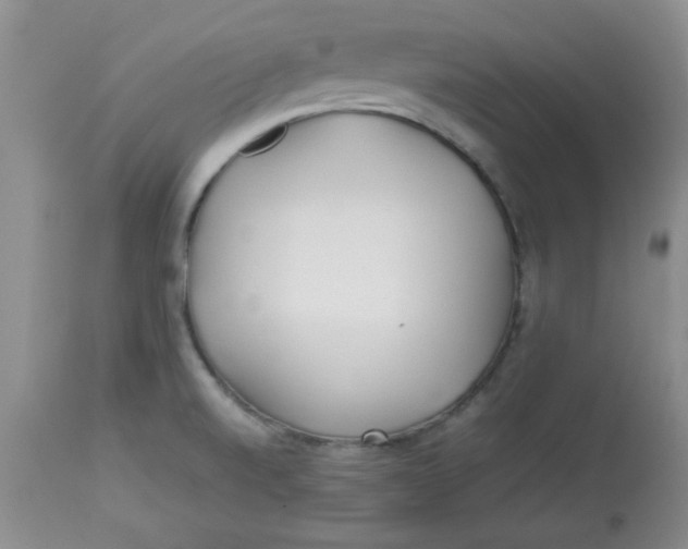 X0000112791520200909111159