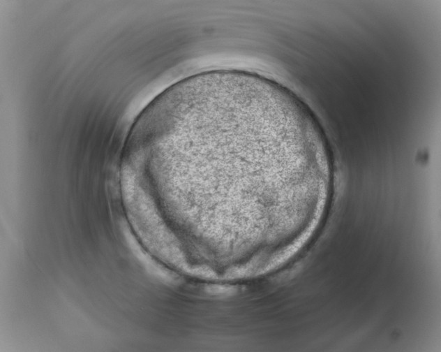 X0000112791521200909111159