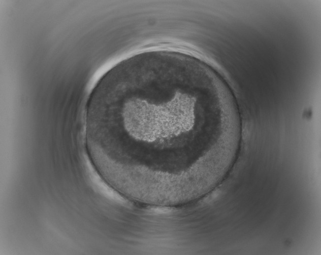 X0000112791522200909111159