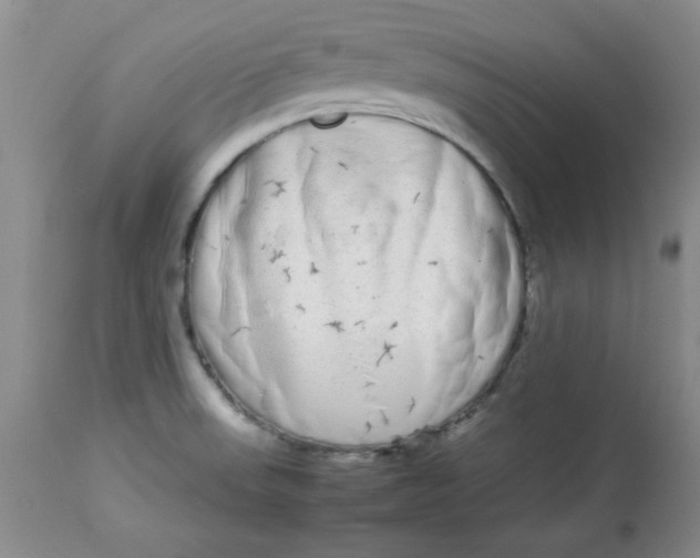 X0000112791523200909111159