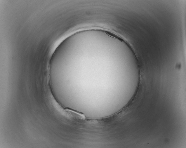 X0000112791524200909111200