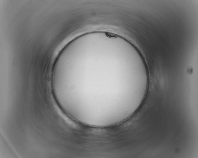 X0000112791525200909111200