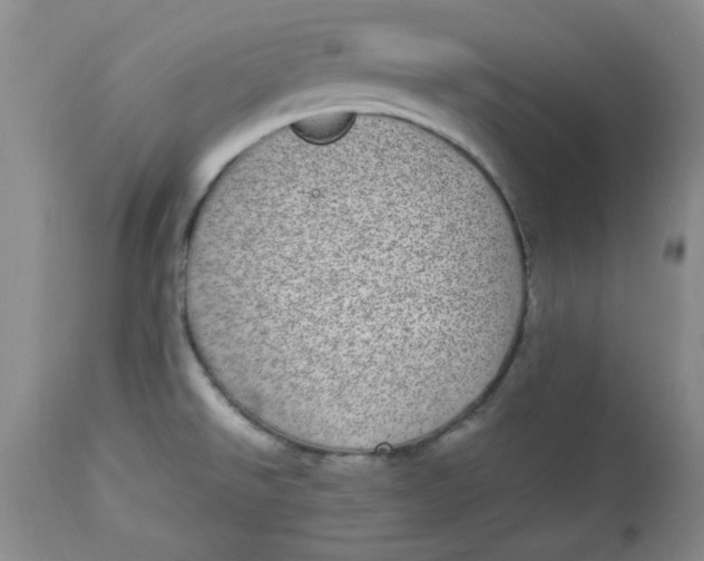 X0000112791526200909111200