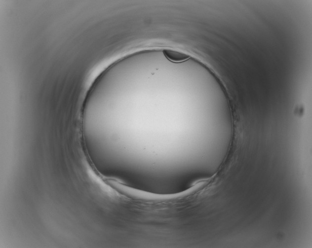 X0000112791527200909111200