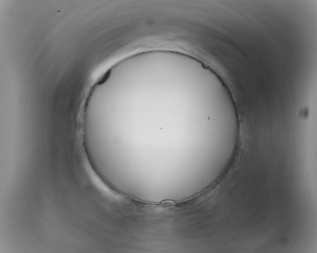 X0000112791528200909111200