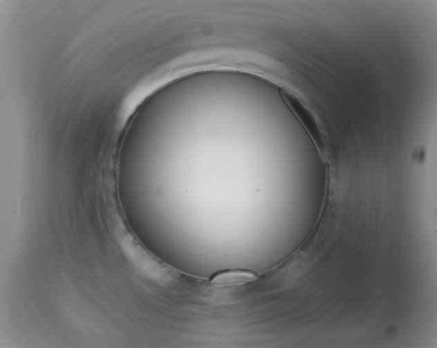 X0000112791530200909111200