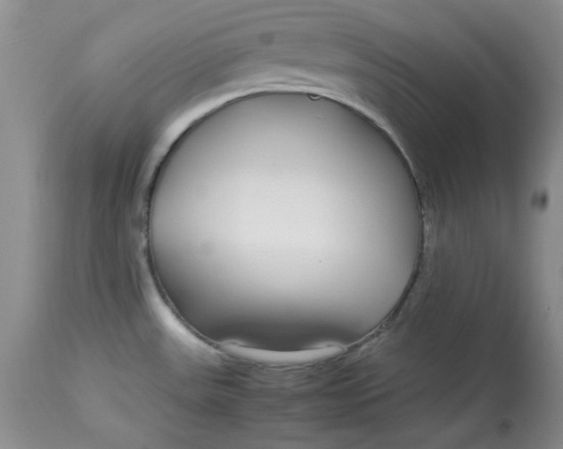 X0000112791531200909111200