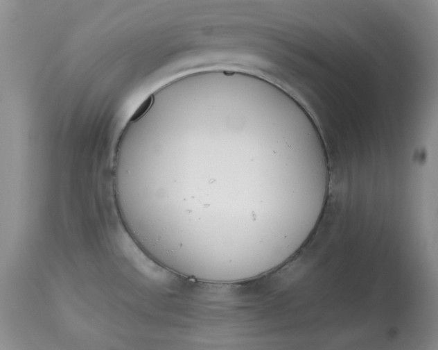 X0000112791532200909111200