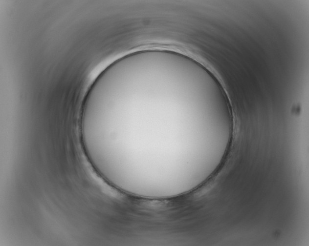 X0000112791533200909111200