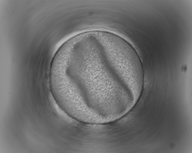 X0000112791534200909111200