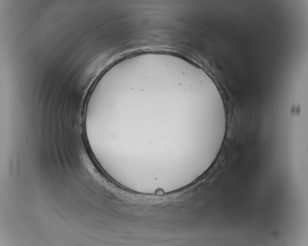 X0000112790002200909181524