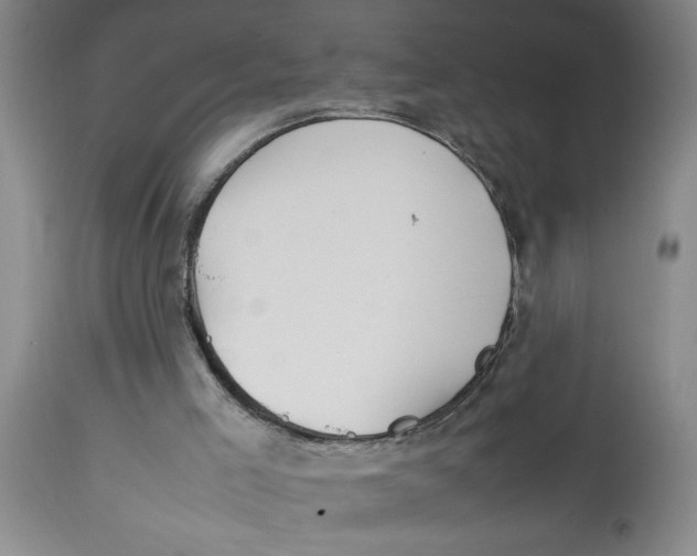 X0000112790005200909181524