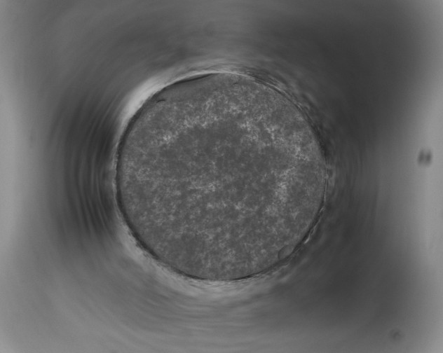 X0000112790006200909181524