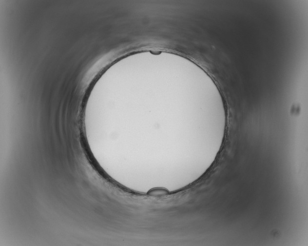 X0000112790007200909181524