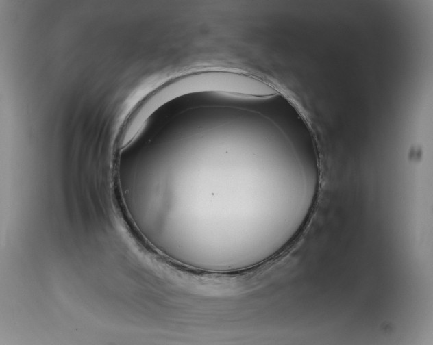 X0000112790008200909181524