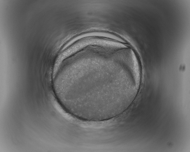 X0000112790009200909181524