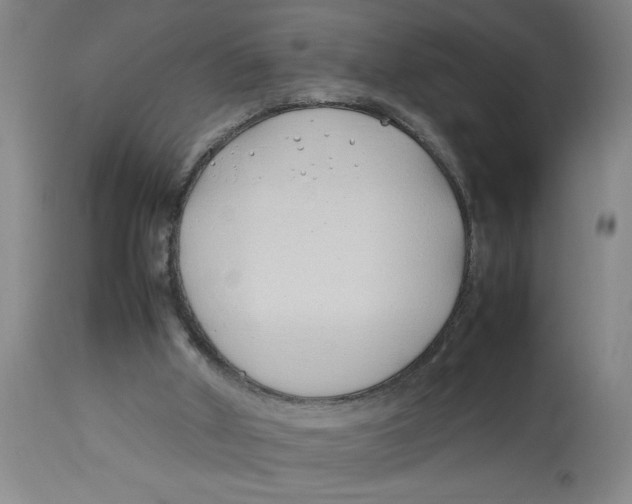 X0000112790010200909181524