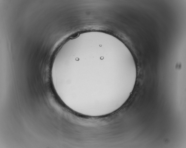 X0000112790012200909181524