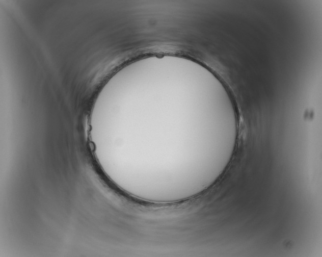 X0000112790013200909181524