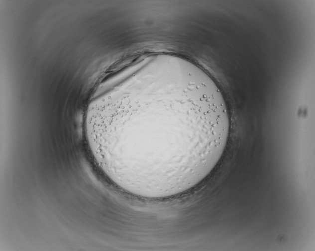 X0000112790014200909181524