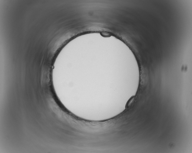 X0000112790015200909181524