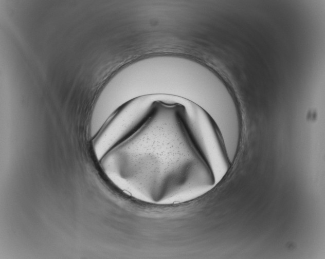 X0000112790017200909181524