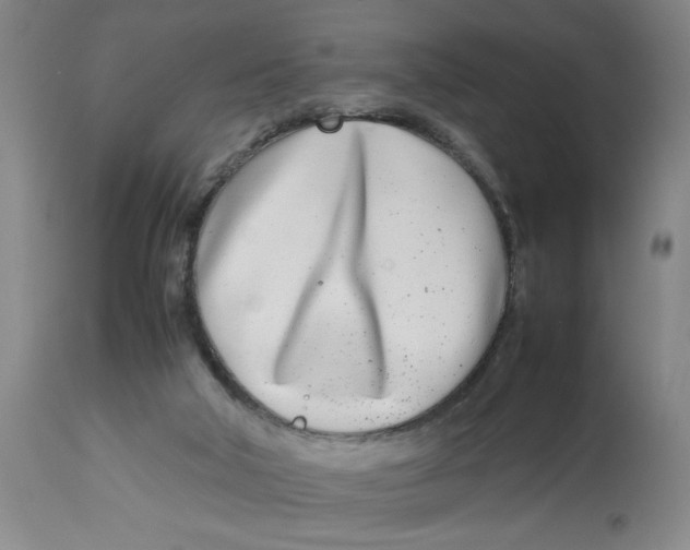 X0000112790018200909181524