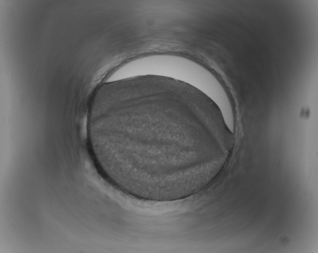 X0000112790019200909181524