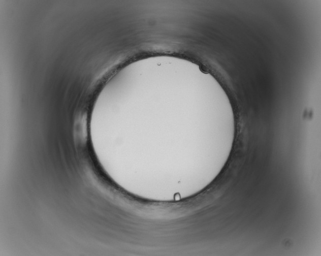 X0000112790020200909181524