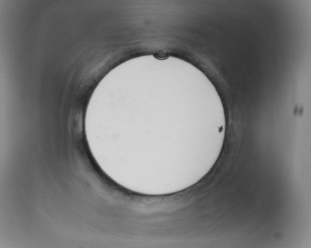 X0000112790021200909181524