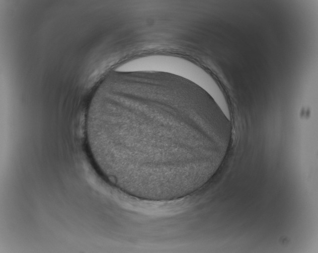 X0000112790023200909181524