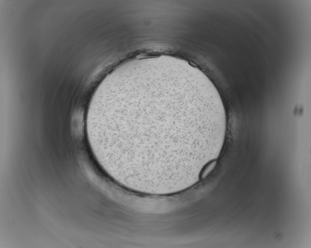 X0000112790024200909181524