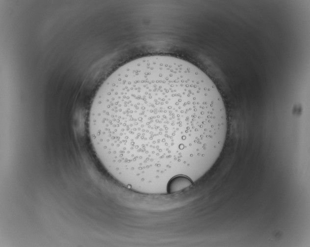 X0000112790026200909181524