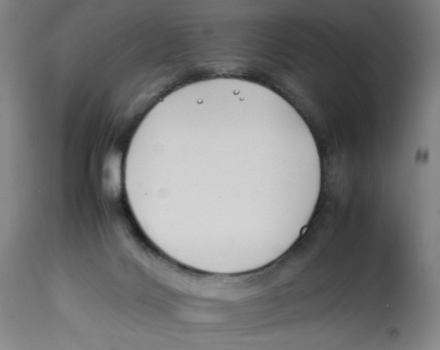 X0000112790028200909181524