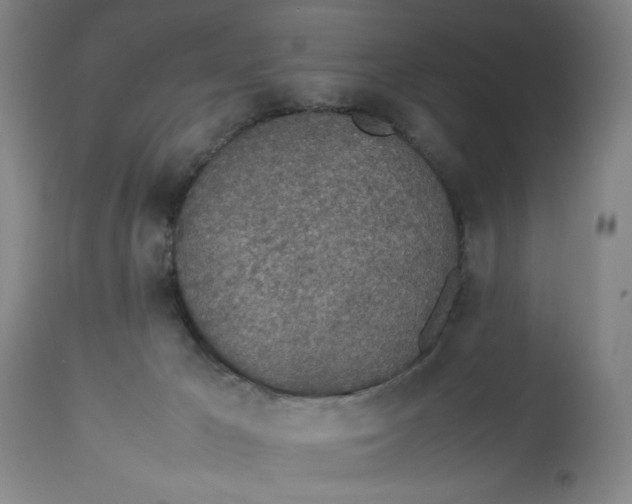 X0000112790029200909181524