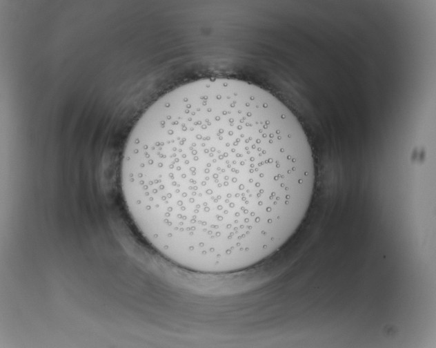 X0000112790030200909181524