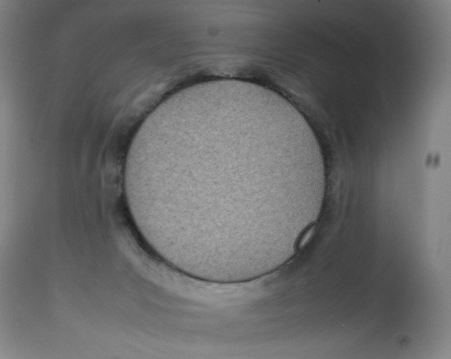 X0000112790031200909181524