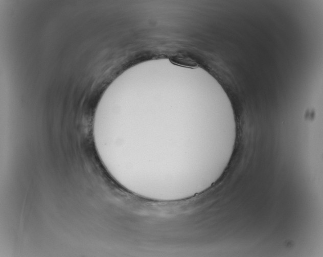 X0000112790033200909181524