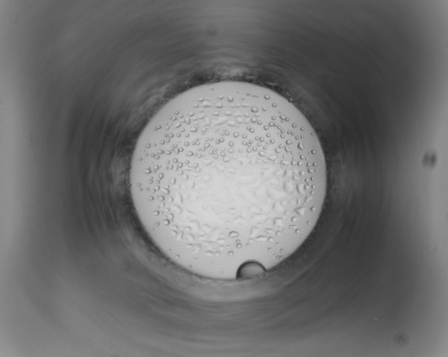 X0000112790034200909181524