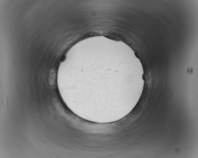 X0000112790036200909181524