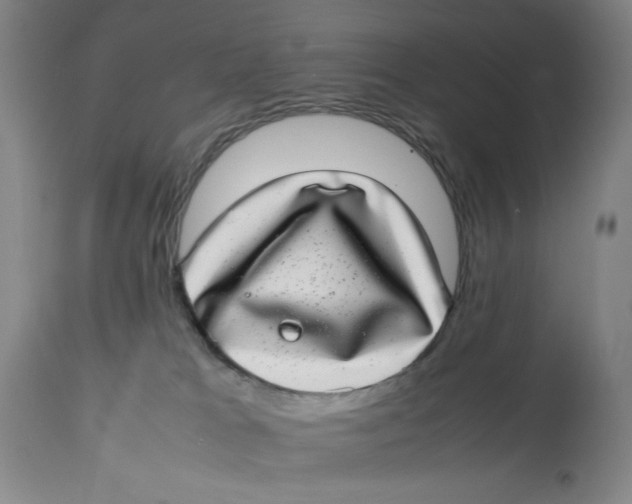 X0000112790037200909181524