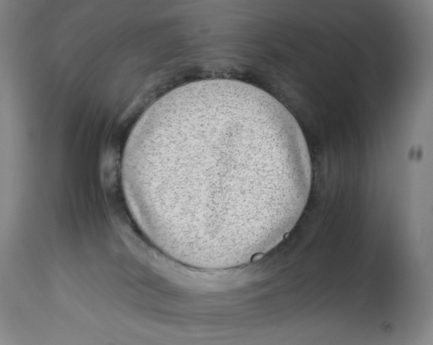 X0000112790038200909181524