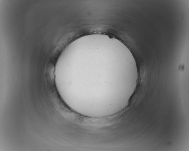 X0000112790041200909181524