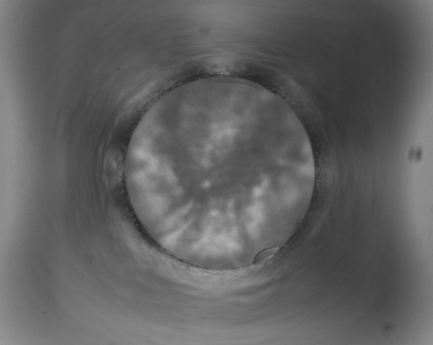 X0000112790043200909181523