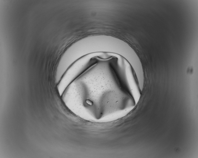 X0000112790045200909181523